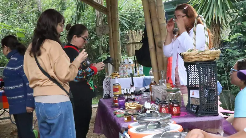 Tianguis Bio-Regional en Xalapa